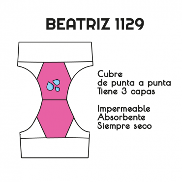 Beatriz Bombacha Postparto Hemorragias o incontinencia Severa(M-L-XL-2XL-3XL)